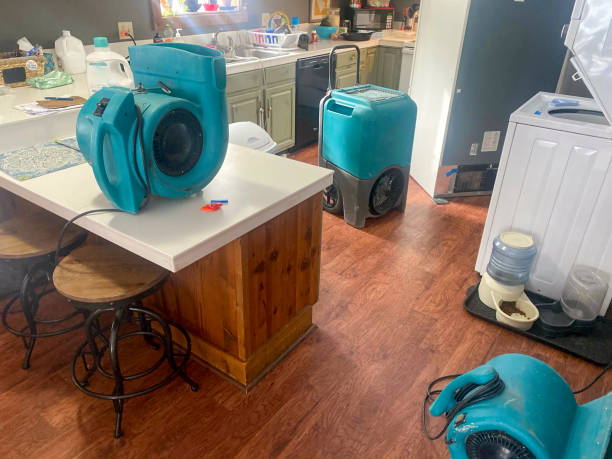 Best Water damage restoration mold remediation  in Jurupa Valley, CA