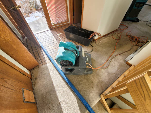 Best Basement water damage restoration  in Jurupa Valley, CA